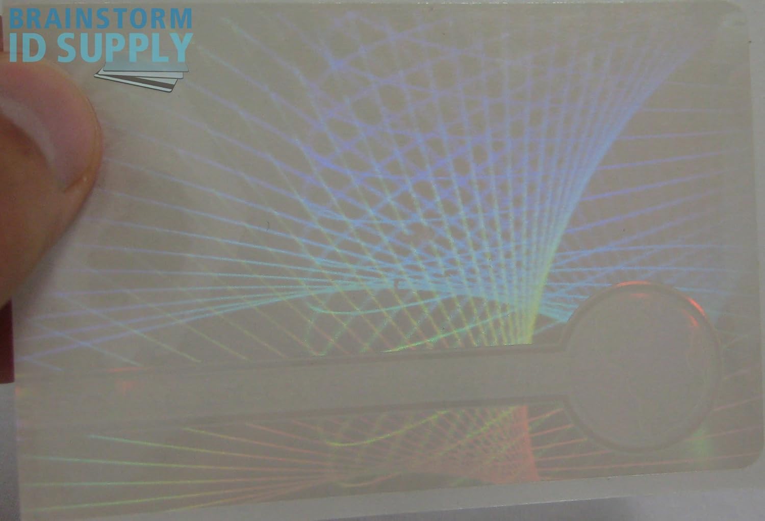 Web & Earth Hologram Overlay - Credit Card Size Teslin/PVC ID Card Hologram Overlays - 50 Pack