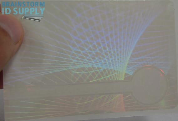 Web & Earth Hologram Overlay - Credit Card Size Teslin/PVC ID Card Hologram Overlays - 10 Pack