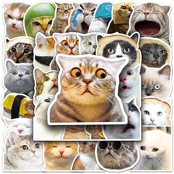 50Pcs القط ملصقات ميمي - ملصقات للماء مضحك للبالغين والمراهقين - لطيف القط الفينيل الشارات