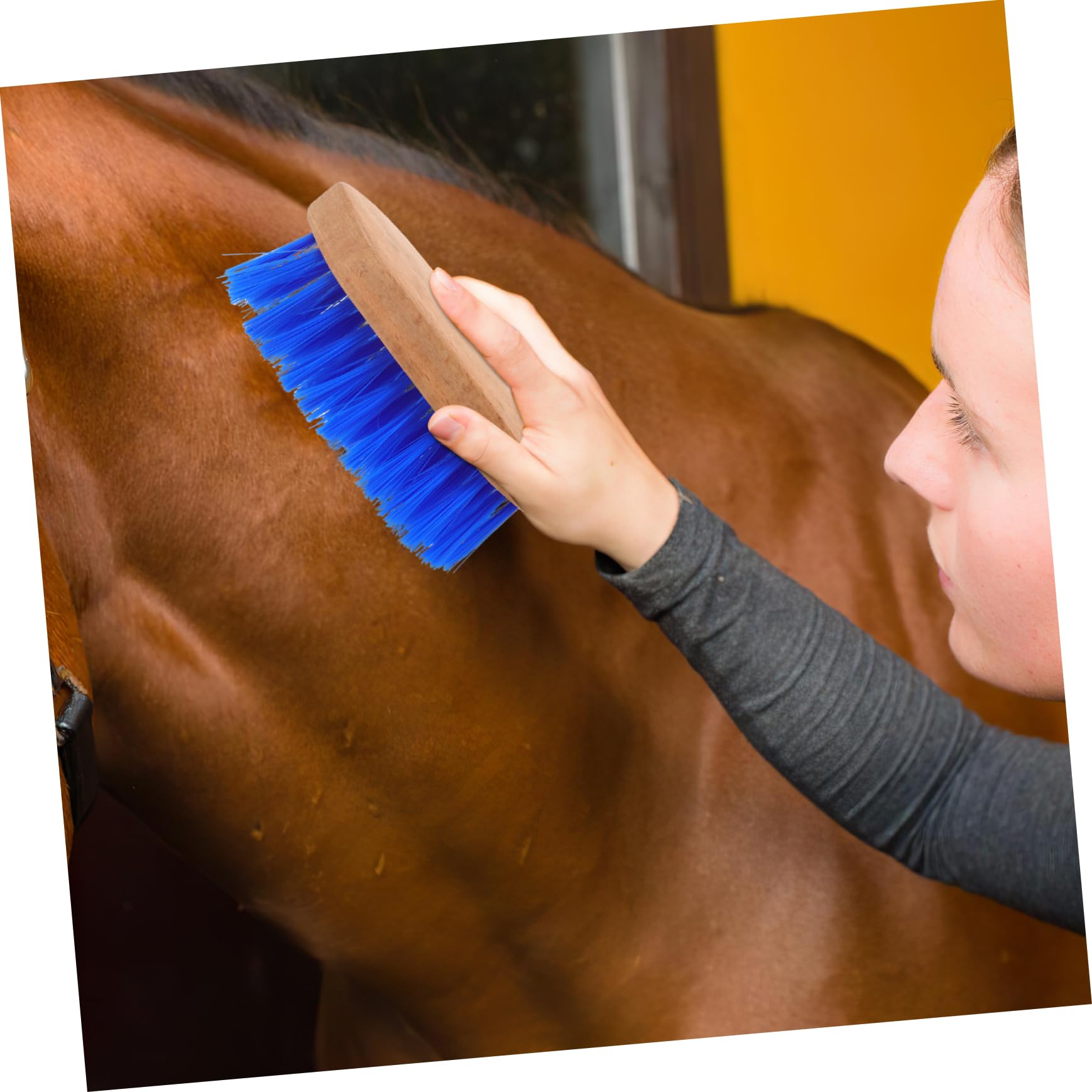 ibasenice Horse Brush Blue Medium Stiff Bristle Horse Fur Cleaning Comb Horse Grooming Tool