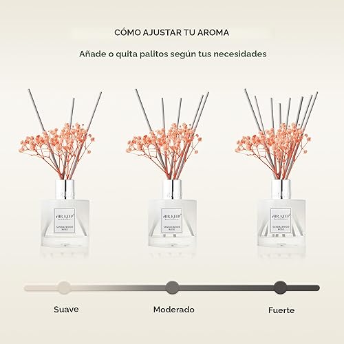Miniatura 8 de Airkeep Juego de difusor de varillas de 3.38 onzas líquidas, difusor de aceite de bambú con 8 varillas de caña, difusor de varillas de fragancia