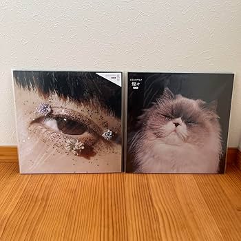 Amazon.co.jp: カネコアヤノ レコード セット 祝祭 燦々 他 : おもちゃ