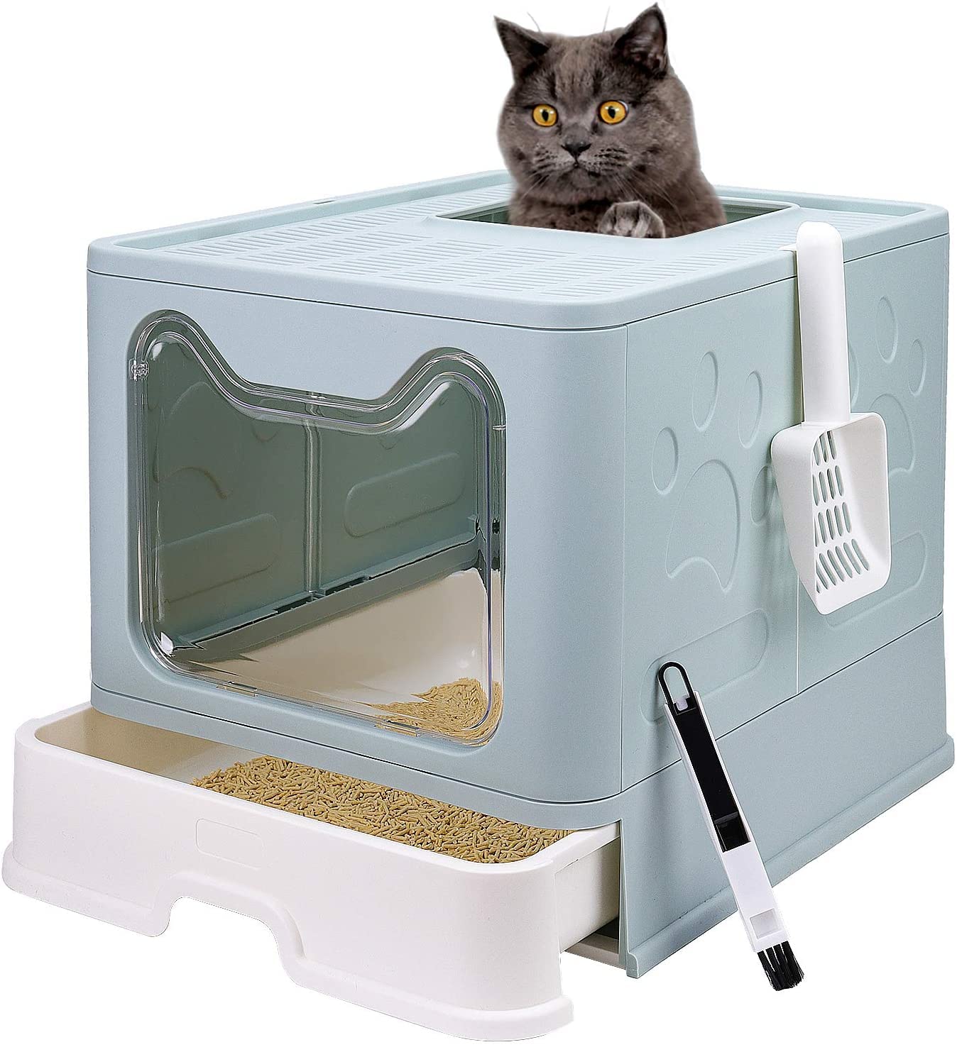 Orchid MTIM Cat Litter Box with Lid (Blue)