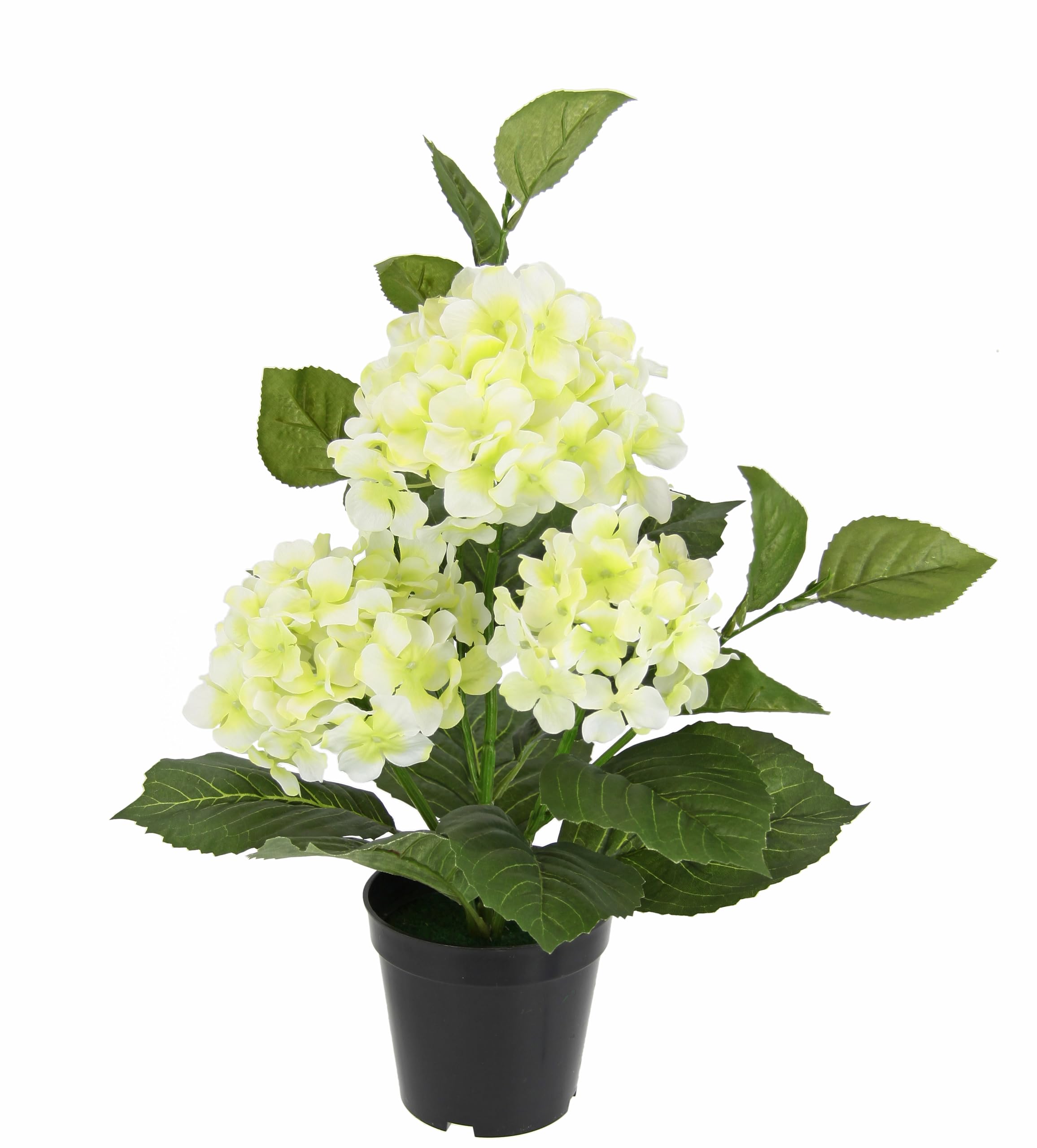 Amazon.de Flair Flower Künstliche Hortensie im Topf Kunstblumen Blume