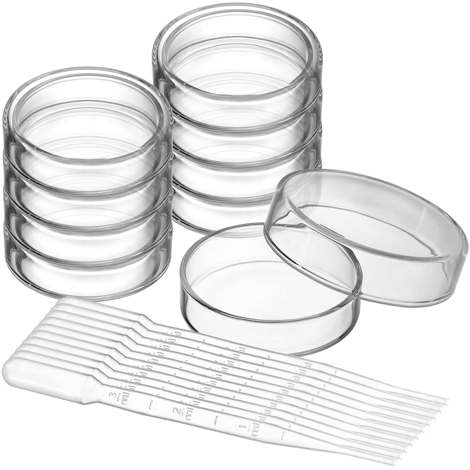 Buy Kingrol 10 Pack Glass Petri Dishes with Lids and Plastic Transfer