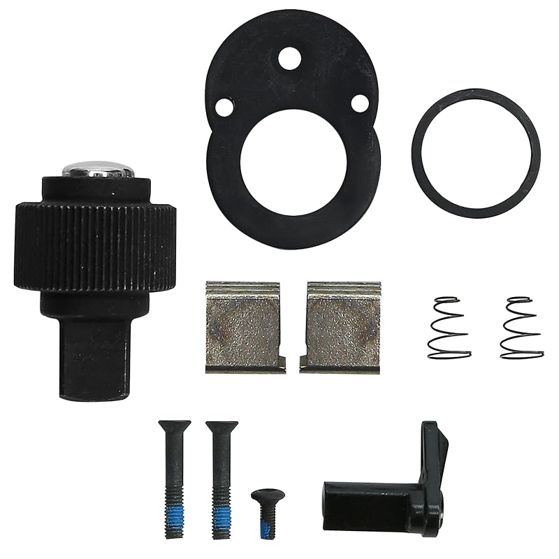 Kit de Reparo para Chave de Catraca BuleVina com Engrenagem de 72 Dentes, Acionamento de 9,5 mm (3/8 pol.) – 10 Peças