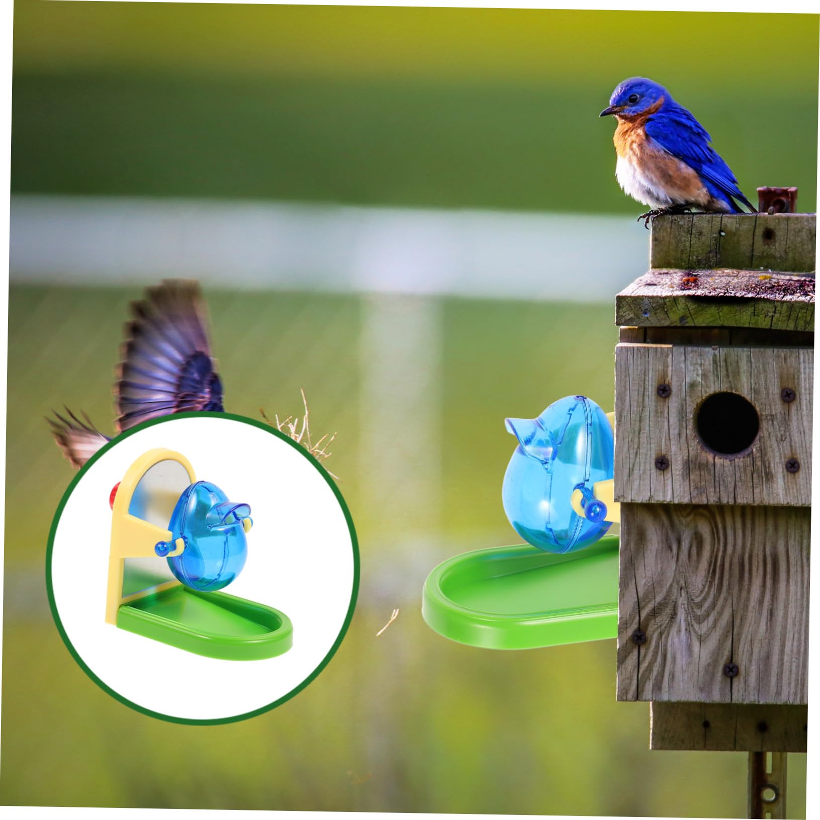 Distributeur de Nourriture Couleur Aléatoire pour Oiseaux Jouet D'entraînement Simple en Métal et Plastique Divertissement et Alimentation pour Calopsittes et Perroquets
