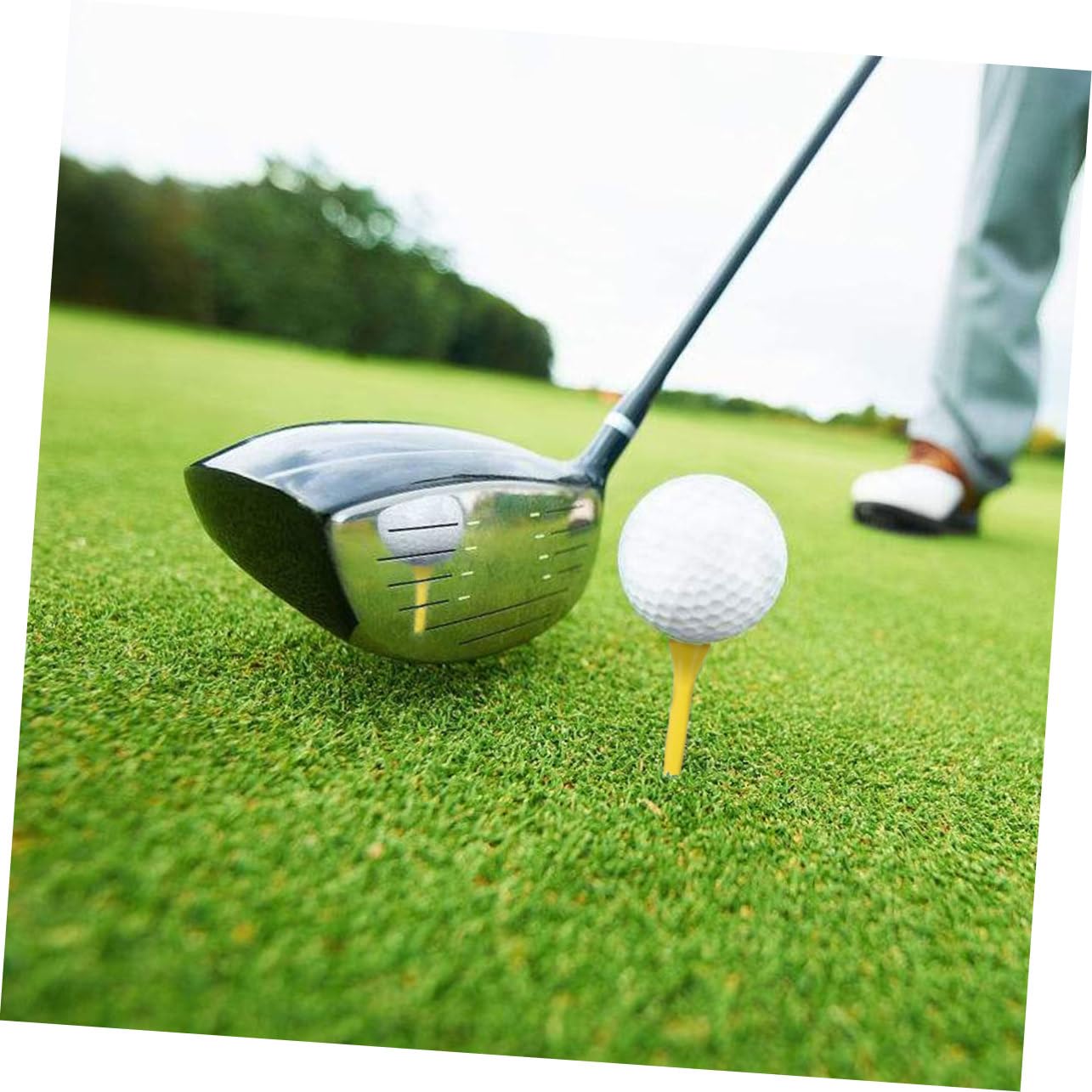 INOOMP 300 Piezas De tee De Golf Tees De Madera A Granel Tees Accesorios para Hombres Orgullo Profesional tee System Tees 3 1/4 Tees 1 1/2 Pulgadas Tees 3 1 4 Pulgadas Yardas Tees