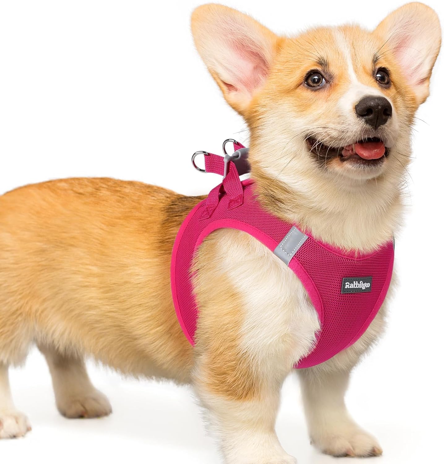 rabbitgoo Small Dog Harness, Step-in Soft Mesh Puppy Vest with Safety Buckle, Breathable Reflective Pet Harness for Small Medium Dogs, Rose Red L L(Chest:18.2"-20.5") Rose Red