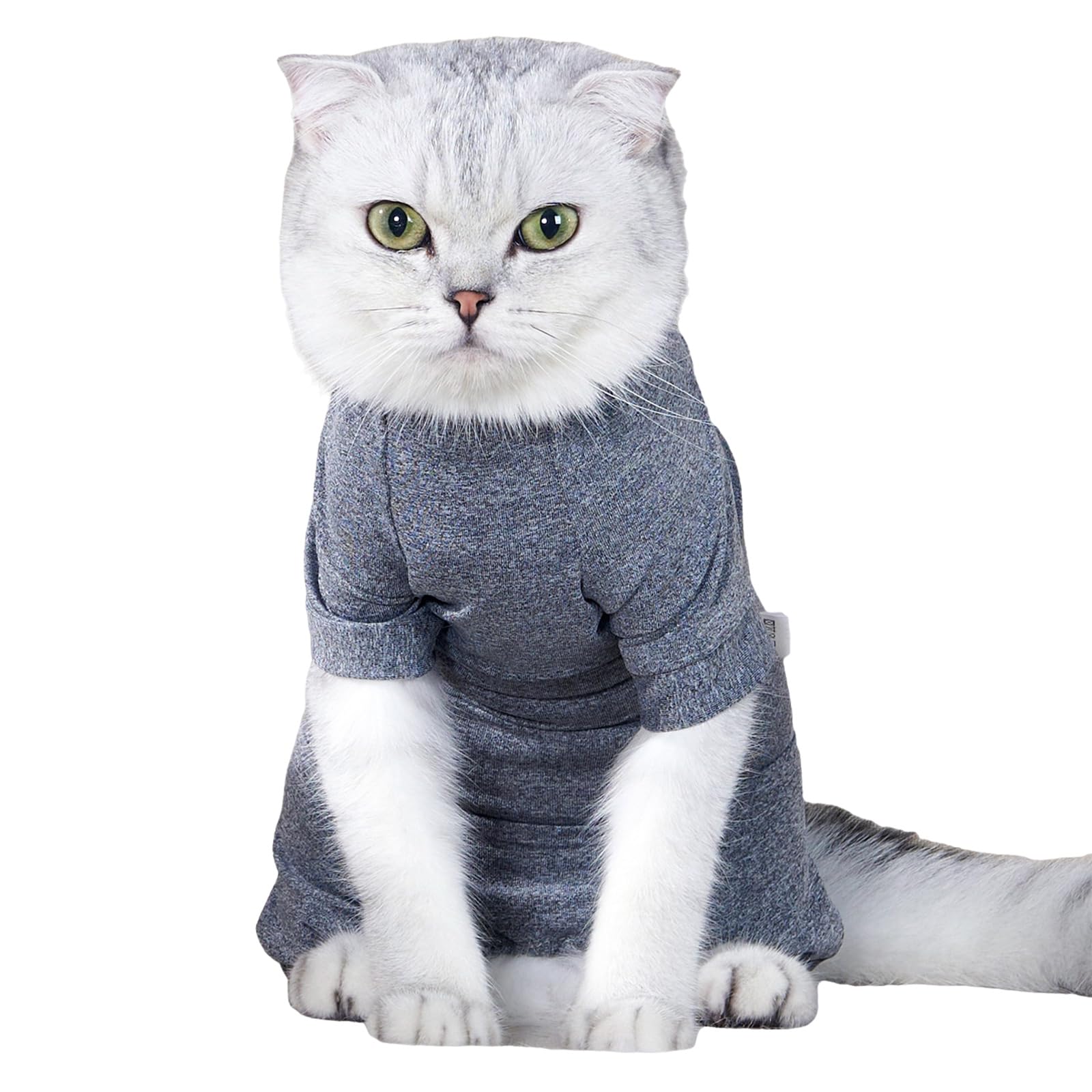 Combinaison convalescence chat polyester doux vêtement protecteur haute qualité