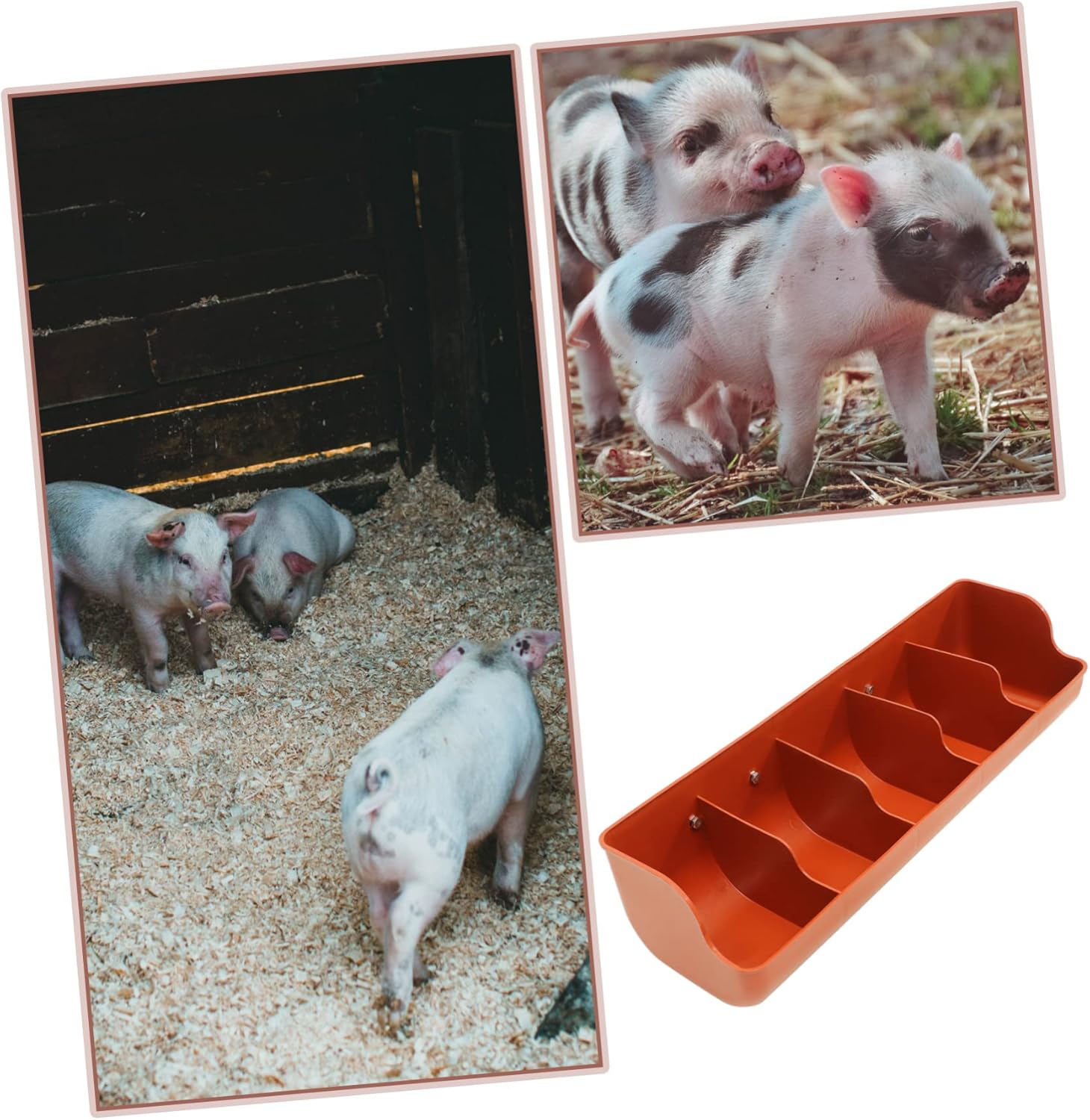 Piglet Feeding Trough Hanging Wall Pig Feeder Easy Install Clean Plastic Feeding Groove