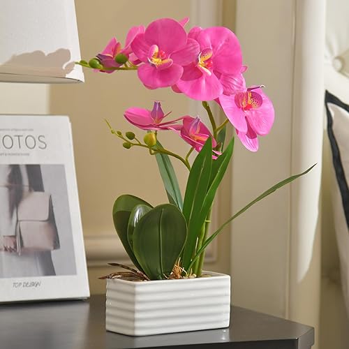 Vista 36 de Flores artificiales de orquídea de tacto real en maceta, flor falsa de Phalaenopsis con jarrón de cerámica blanca, arreglo de orquídeas sintéticas