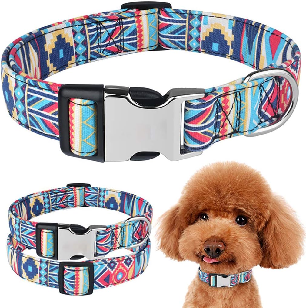 customised dog accessories