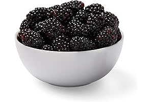Yummy and Bountiful Blackberries