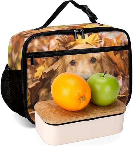 Miniatura 6 de Golden Retriever - Lonchera reutilizable con aislamiento térmico para perros, bolsa de almuerzo, contenedor de comida para mujeres, niños, niñas,