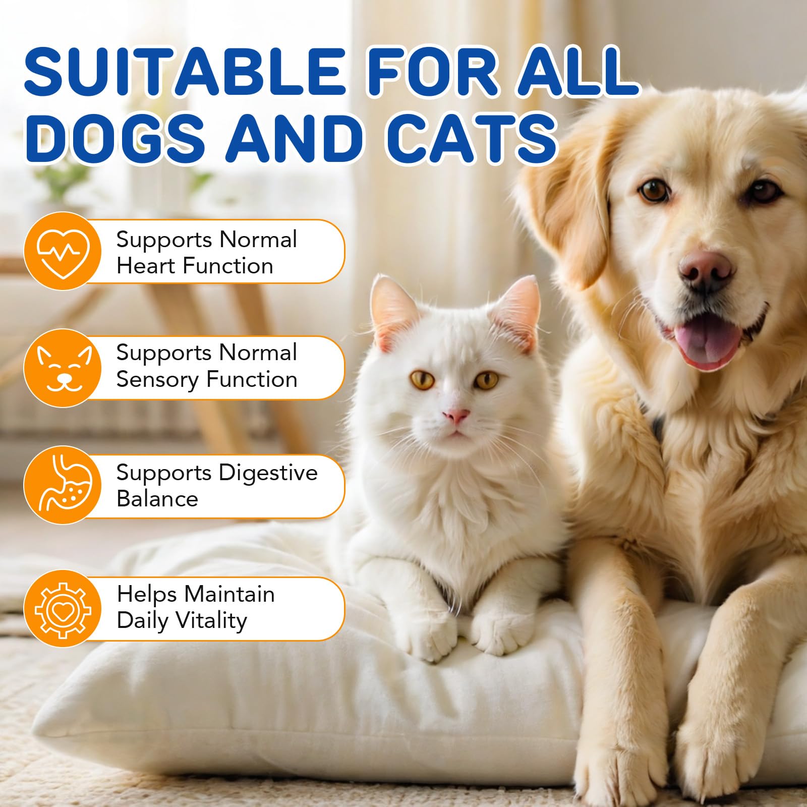 Taurina para Gatos, 200g Pura Garra Pure Taurina Gatos, Mantener la Retina, el Sistema inmunológico y el metabolismo, Mantener la función cardíaca y el Sistema Cardiovascular