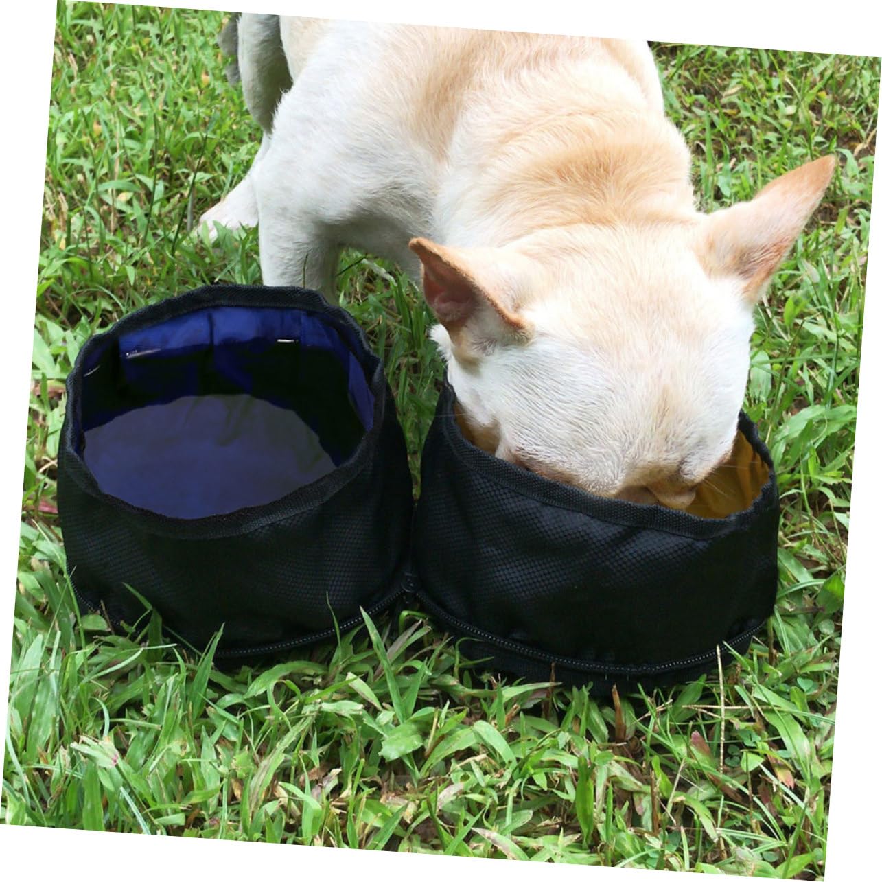 Sosoport 2stücke Pet Faltbare Hundeschalen Tragbare Doppelnapf Für Hunde Und Katzen Für Outdoor-aktivitäten Und Reisen Mit Karabiner Und Praktischem Reißverschluss Für Einfachen