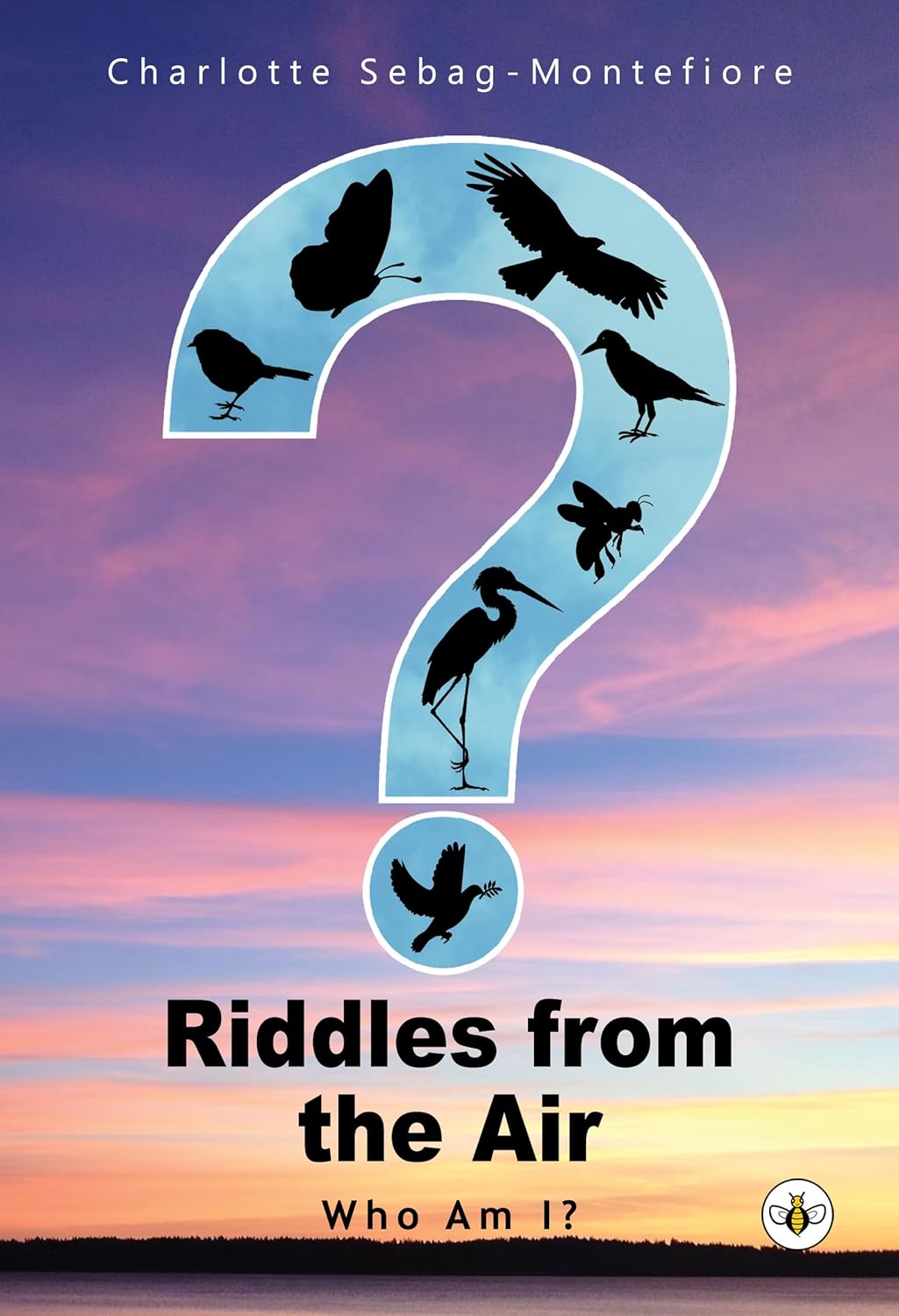Riddles from the Air Amazon.co.uk SebagMontefiore, Charlotte 9781787960305 Books