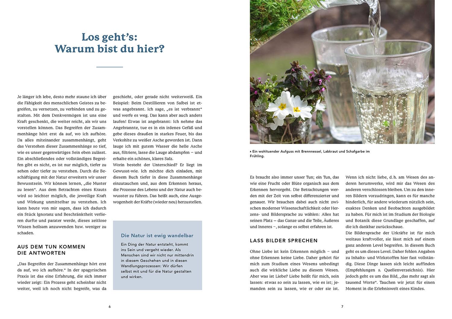 Die Urkraft der Planeten in den Pflanzen: Ihre Wirkung kennen, Heilmittel selbst herstellen - Rezepturen für Körper, Seele & Geist