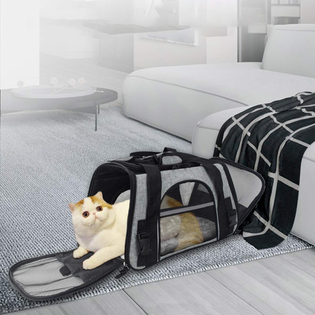 Queta Trasportino per Cani Aereo Trasportino Gatto Morbido Borsa per Cani Piccoli Gatti Viaggio Esci Grigio