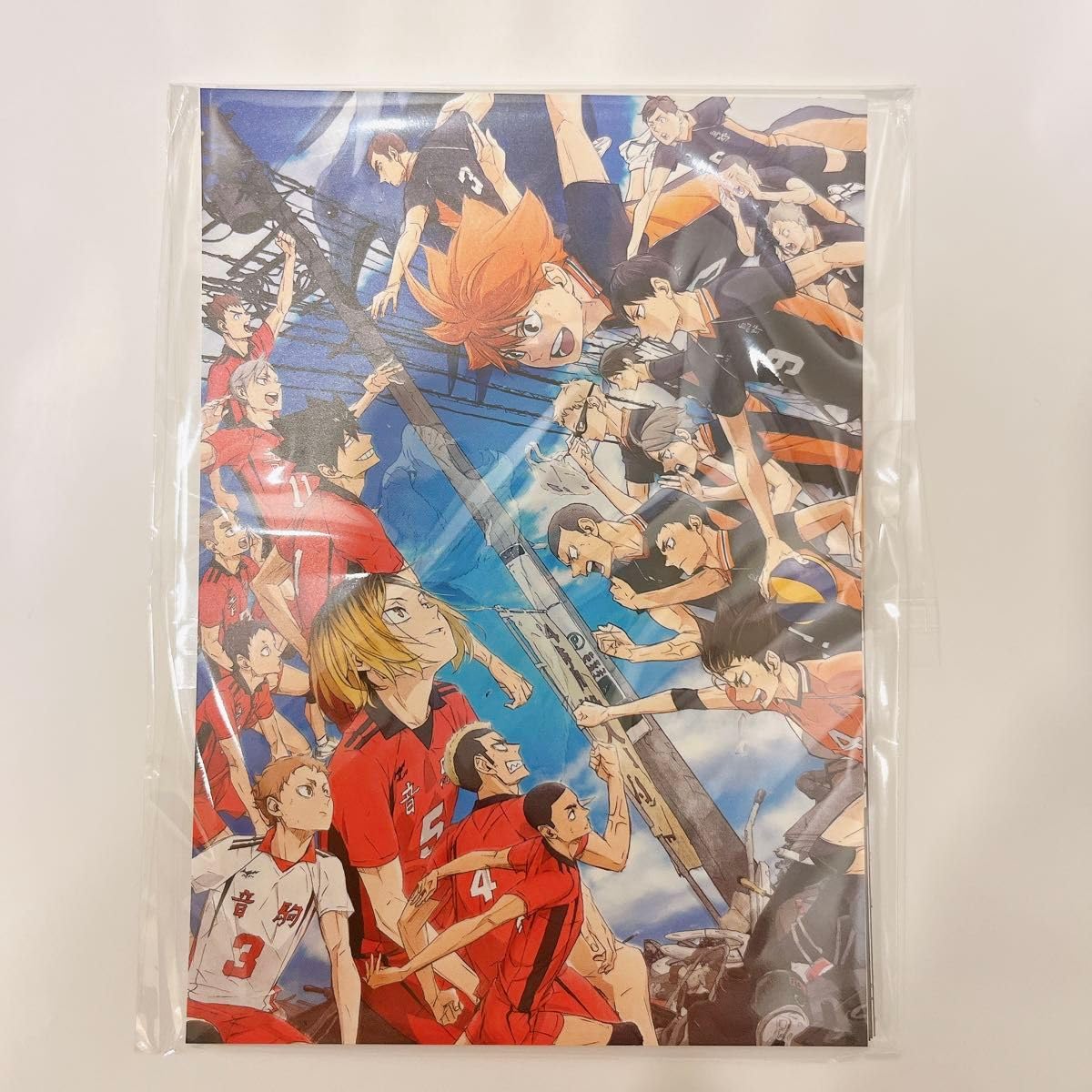 ハイキュー 劇場版ゴミ捨て場の決戦 小説 ポストカード 劇場版 ハイキュー ゴミ捨て場の決戦 映画 ノベライズ 小説 日向