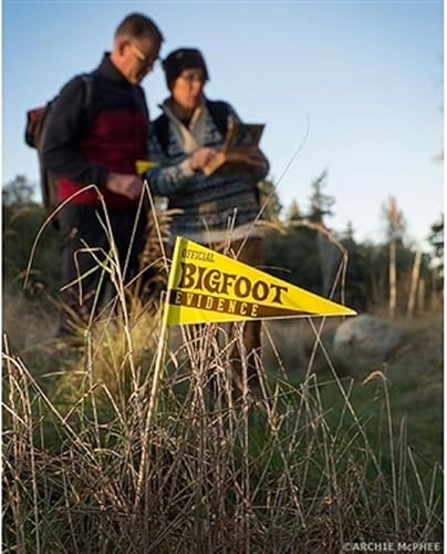 Miniatura 3 de Archie McPhee Accoutrements Bigfoot Sasquatch - Kit de investigación para exteriores, regalo novedoso, multicolor, 7 x 5 x 1-1/2 pulgadas