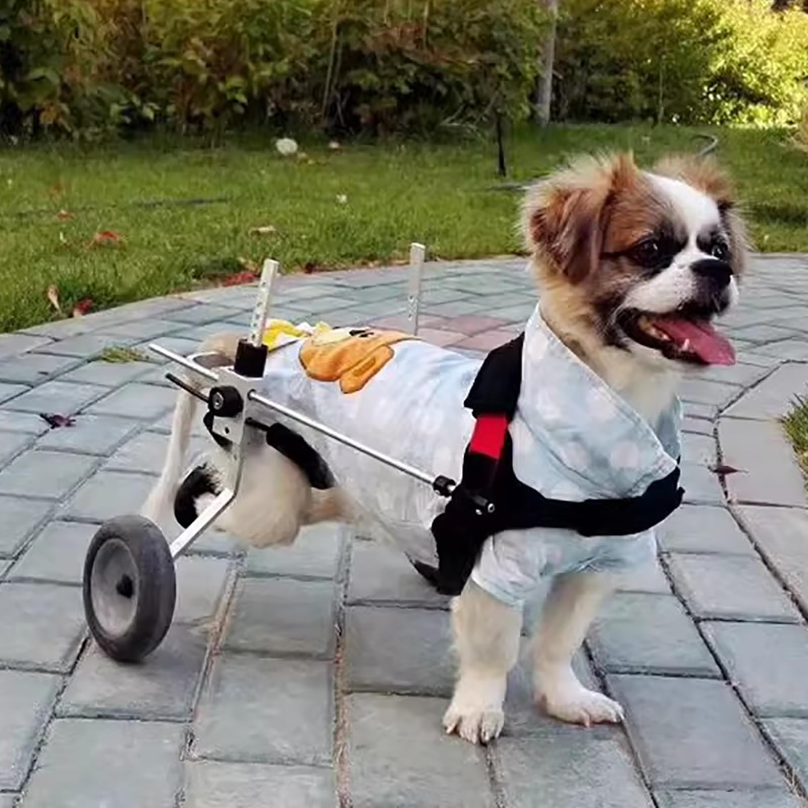 Silla de ruedas para perros XXS con soporte ajustable de 2 ruedas para patas traseras