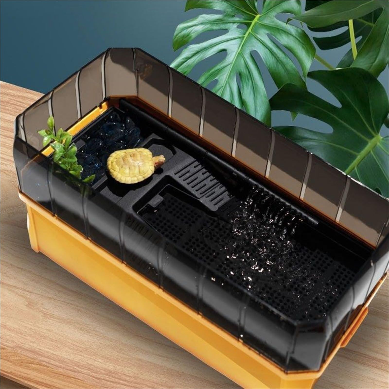 Siedlisko terrarium Zbiornik na wodę do użytku domowego z platformą suszenia słońcu, wspinania się po pojemniku karmienia żółwi Terrarium akwariowe(46x23x20cm)