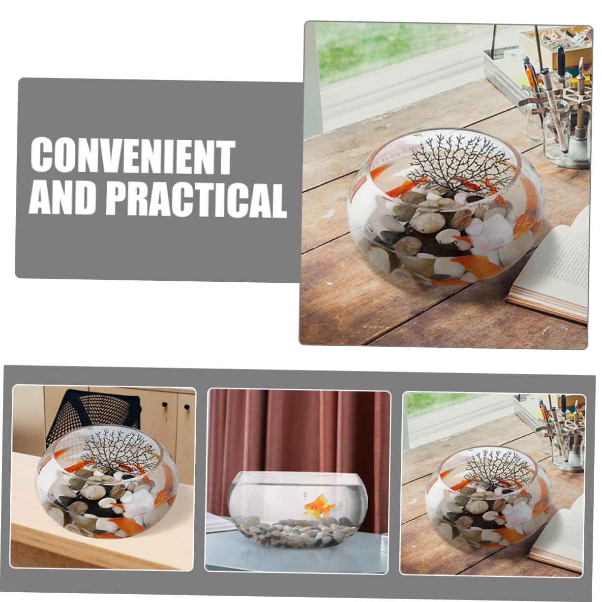BESPORTBLE 3piezas Bola De Transparente para y Pecera para y Terrario para Decoración De Bodas y