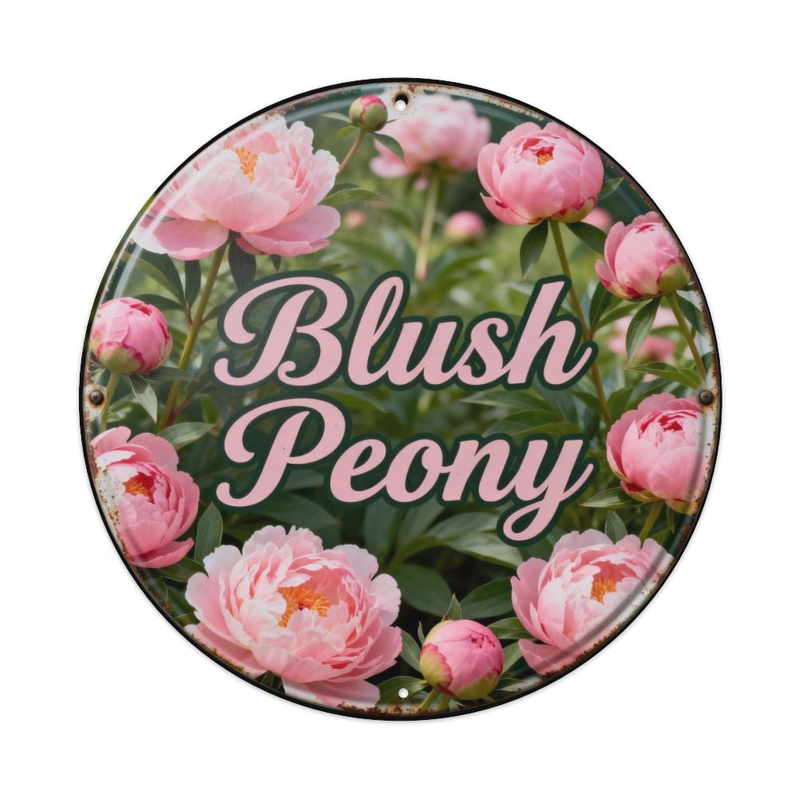 Blush Peony Metal Tin Sign Plaque