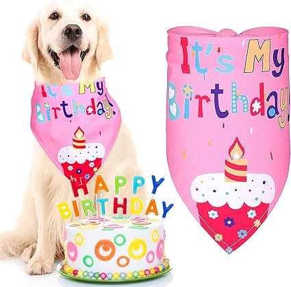 dog birthday cake amazon