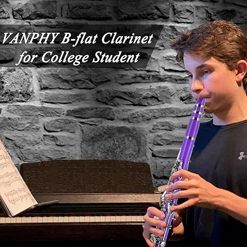 Miniatura 7 de VANPHY Clarinete BB para estudiantes principiantes clarinete B plano de 17 llaves niqueladas con funda soporte correa 2 barriles 8 boquillas guantes