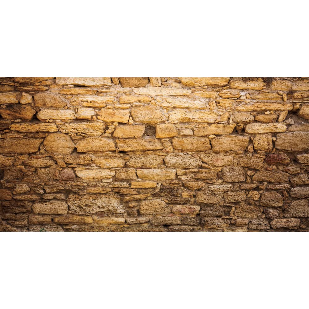 CSFOTO 20x10ft Western Wall Backdrop Ancient Jerusalem Buildings Photo Background Israel Background Jerusalem Wailing Wall Backdrop Church Event