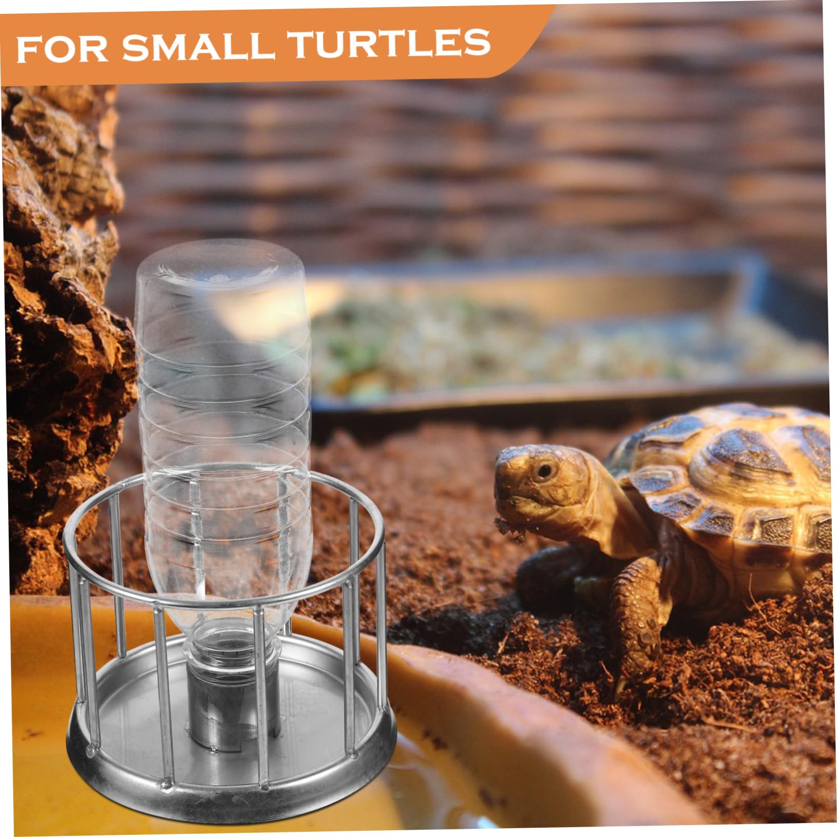 SUPVOX 5pezzi Ciotola per Rettili Inossidabile Mini Dispenser per Tartarughe e Rettili Tartarughe Terrestri e Piccole Creature Domestiche