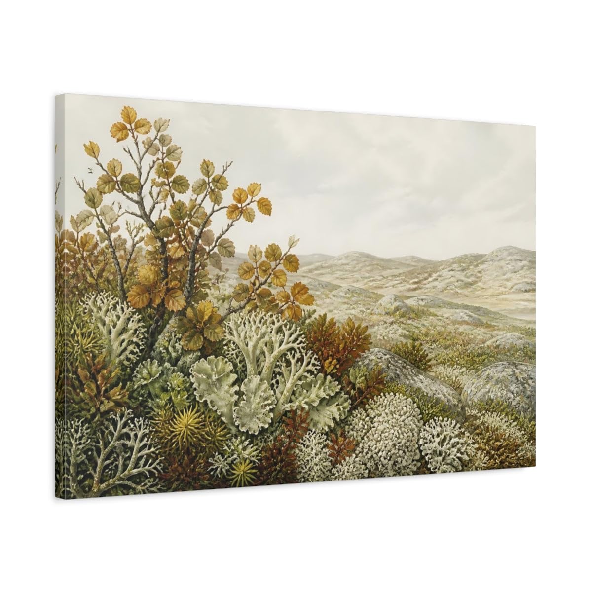 Tundra Lichen Landscape Canvas Print – Living Room, Above Fireplace, Earth Tones 30×20 inch (75×50 cm) - Horizontal / 1.25 inch (3 cm)