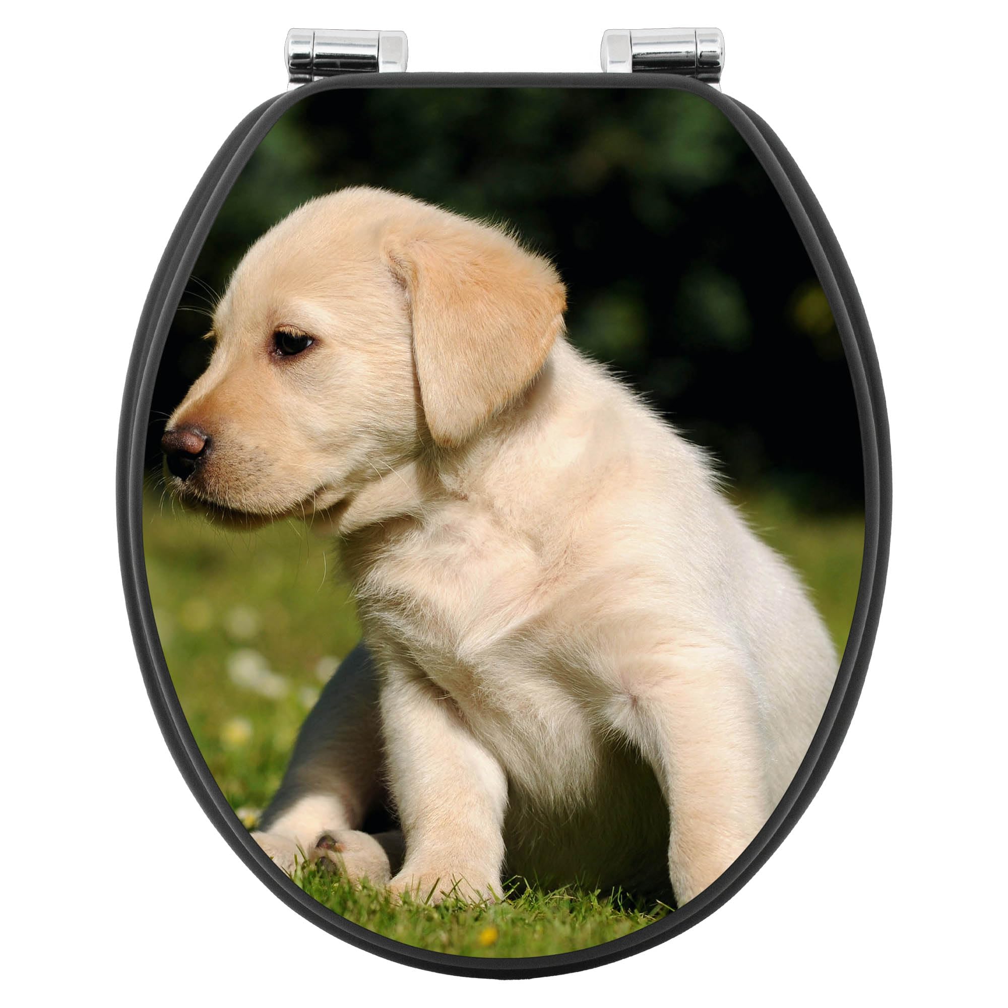 banjado WC Sitz Hunde - mit Absenkautomatik - 38 x 46,5cm O-Form - MDF Holz Toilettendeckel anthrazit - Klositz grau pflegeleicht für Badkomfort - Motiv Labrador