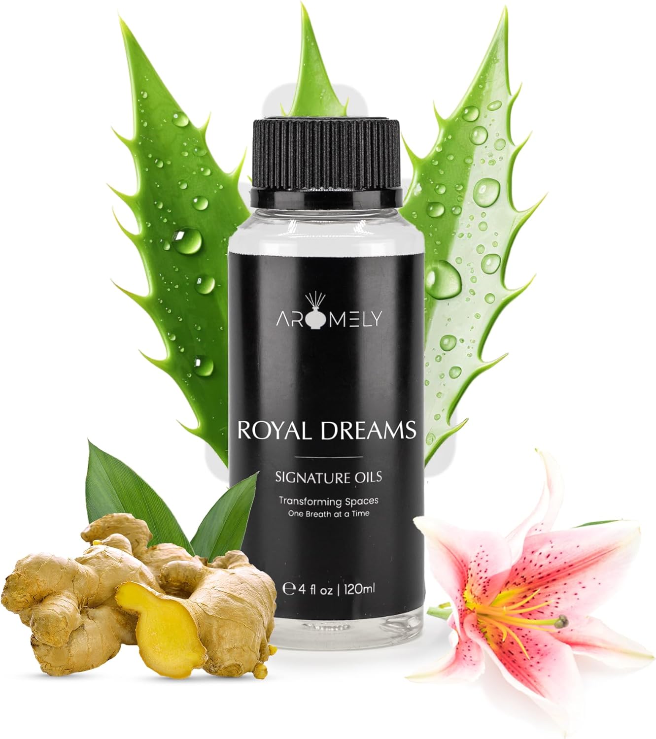 Royal Dreams Inspired by Westin Hotels® Aromely Hotel Selection Diffuser Oil - Fragrance from 5-Star Hotels - Luxurious Notes of White Tea, Aloe Vera, Ginger, Amber and Musk (120ml)