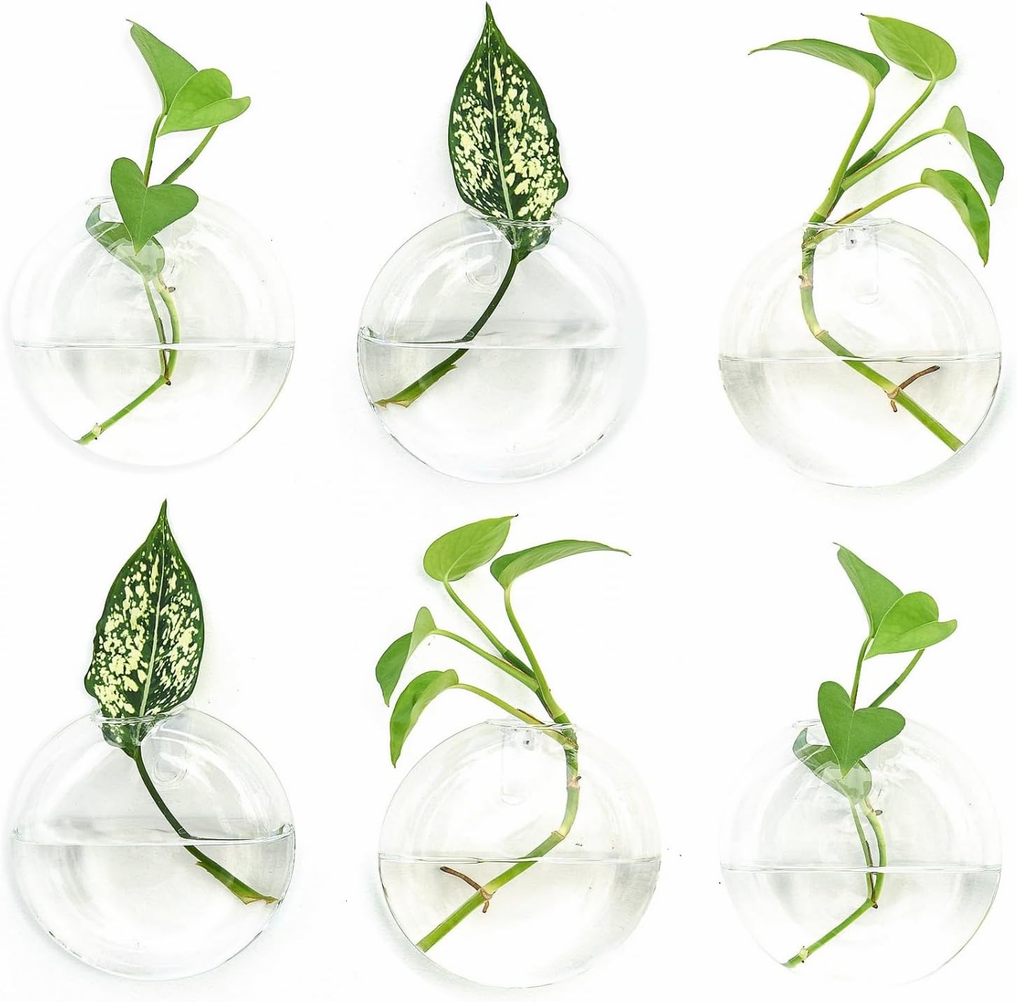 Vumdua 6 PCS Glass Wall Hanging Planters for Flowers, Hydroponics, Indoor Use, Medium, Transparent, Round, Classic Style