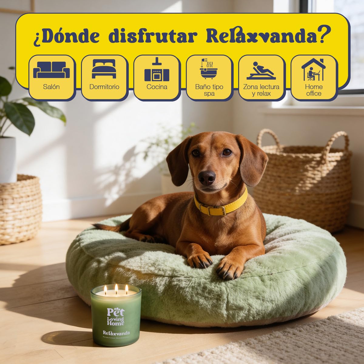 Vela Aromática Relaxvanda 350 g - Aroma Lavanda - Neutraliza Olores - Cera Vegetal Soja y Coco - 3 Mechas - 60h Duración - Diseñada para Hogares con Mascotas