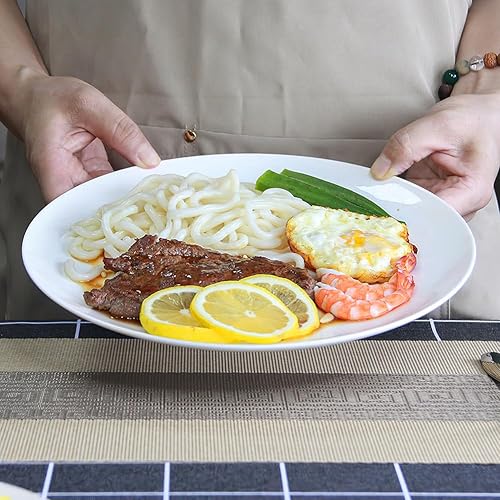 Miniatura 4 de YFWOOD Juego de 6 platos llanos de cerámica, juego de vajilla de cocina de 10.5 pulgadas, vajilla redonda contemporánea de porcelana, apta para