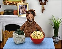 Vista 2 de NECA - Alf - 7" Scale Action Figure