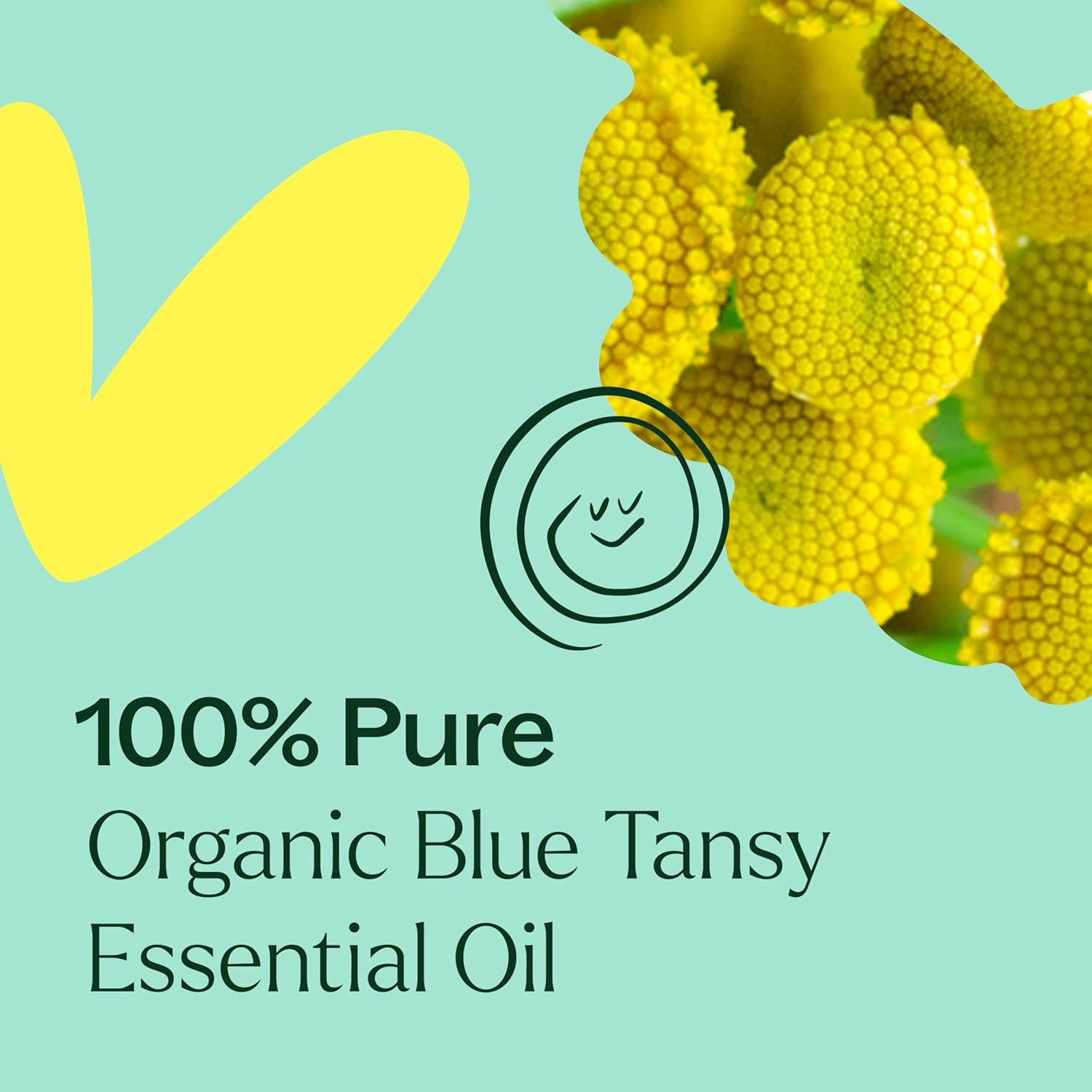 Plant Therapy Organic Blue Tansy Essential Oil 2.5 mL (1/12 oz), 100% Pure, Undiluted, Natural Aromatherapy, Soothing for Sensitive Skin