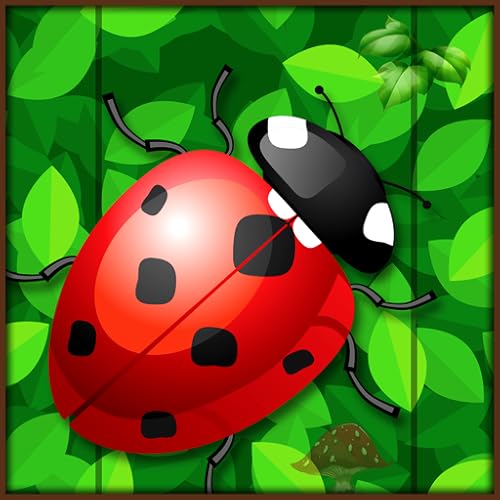 Ladybug Jumpy Line