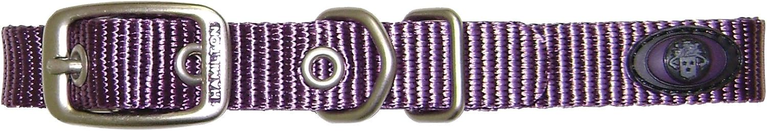 Hamilton B ST 14PM Brushed Hardware Single Thick Nylon Deluxe Dog Collar, 5/8 x 14-Inch, Plum