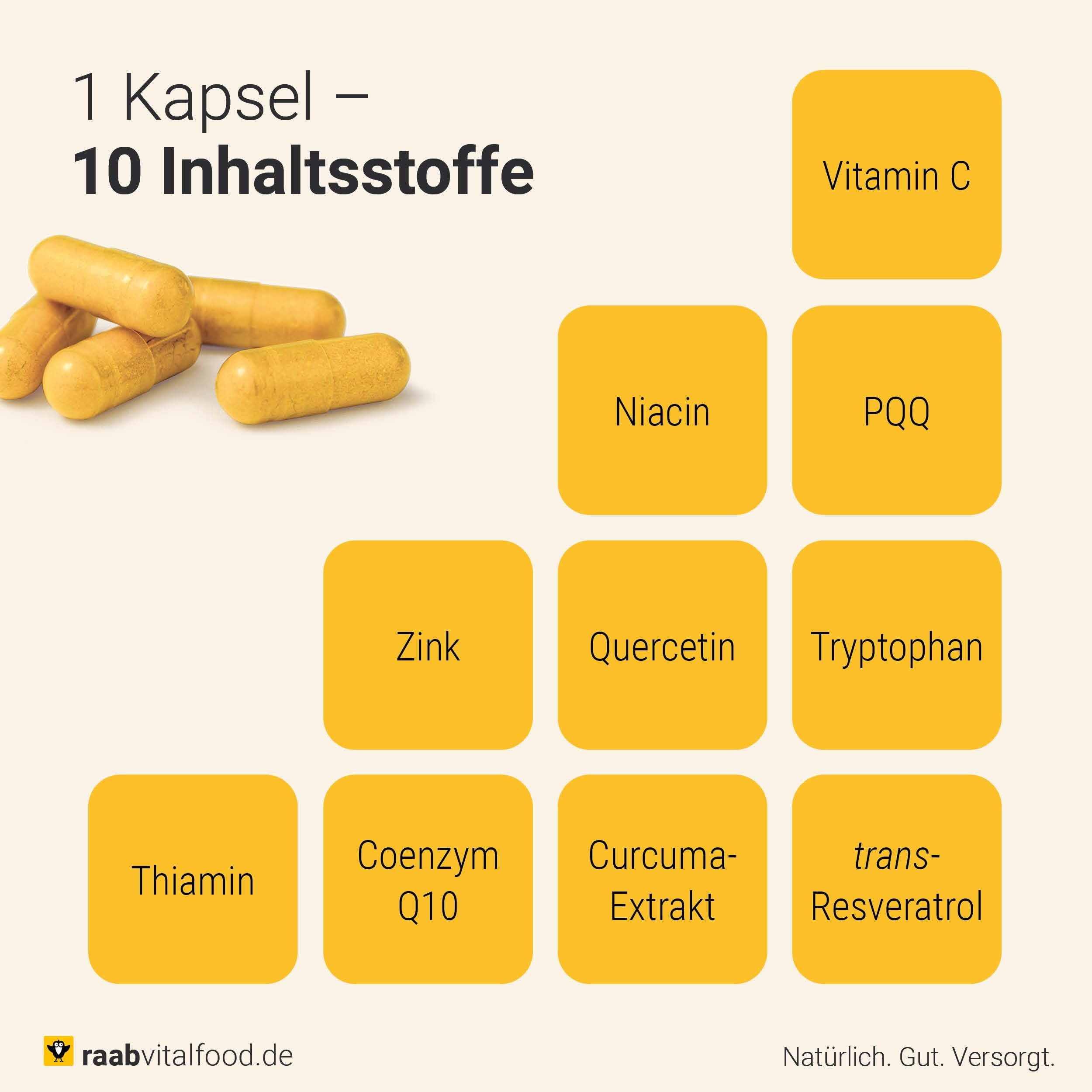 Raab Vitalfood® Good Aging Komplex Kapseln (60 Stück) - 10 in 1 Kapsel für gutes Altern, mit PQQ (MGCPQQ®), Quercetin, Curcuma, trans-Resveratrol, Coenzym Q10, L-Tryptophan, Zink und Vitaminen