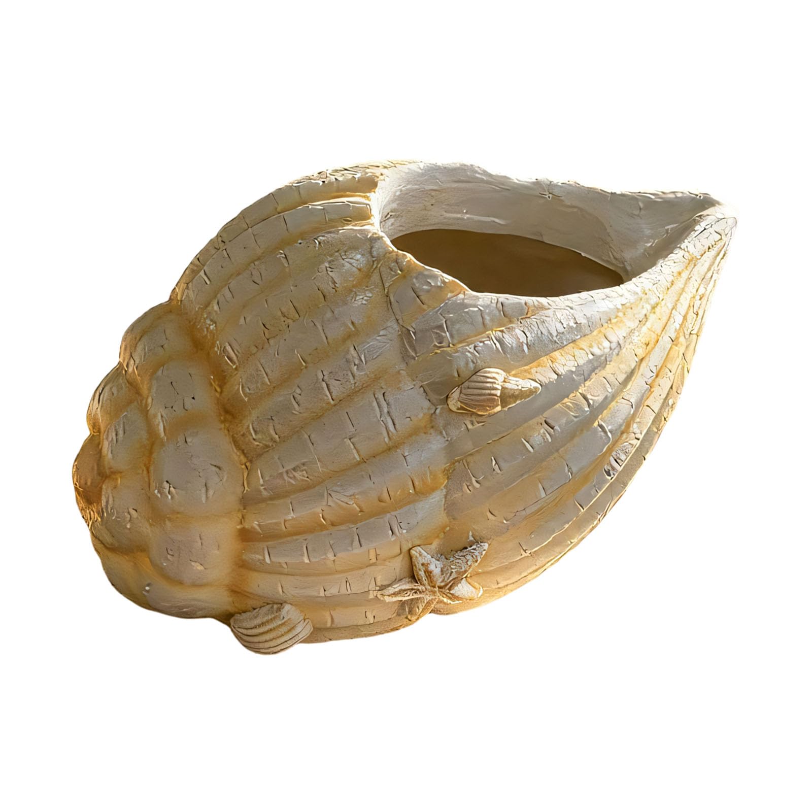 ljhnba Artistic Sea Themed Resin Planter Container with 3D Finishing Great As a Plant Lover and Home Garden Decors Shell Planter Container