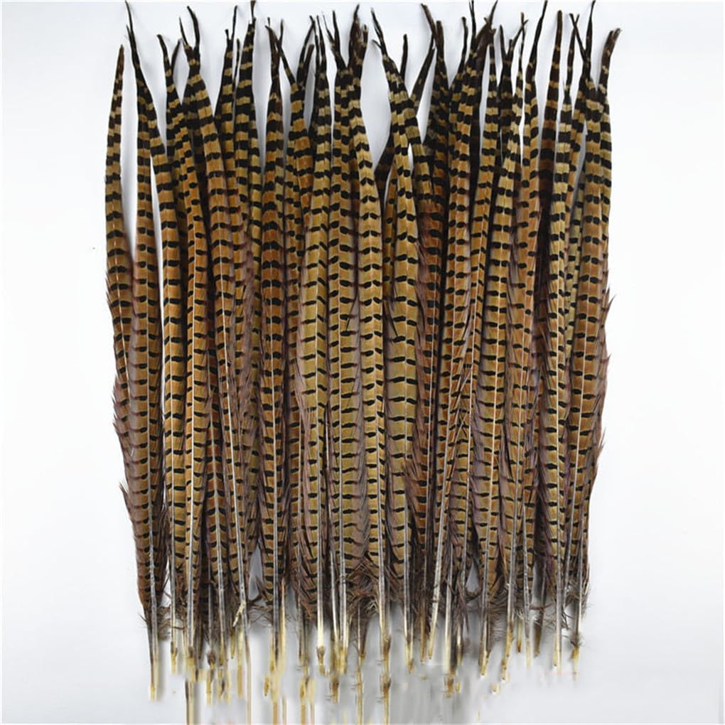 Natural Ringneck Pheasant Feathers for Crafts On The Long Feather Tail Holiday Party Wedding Decoration 65-70cm 26-28inch 10 Pcs