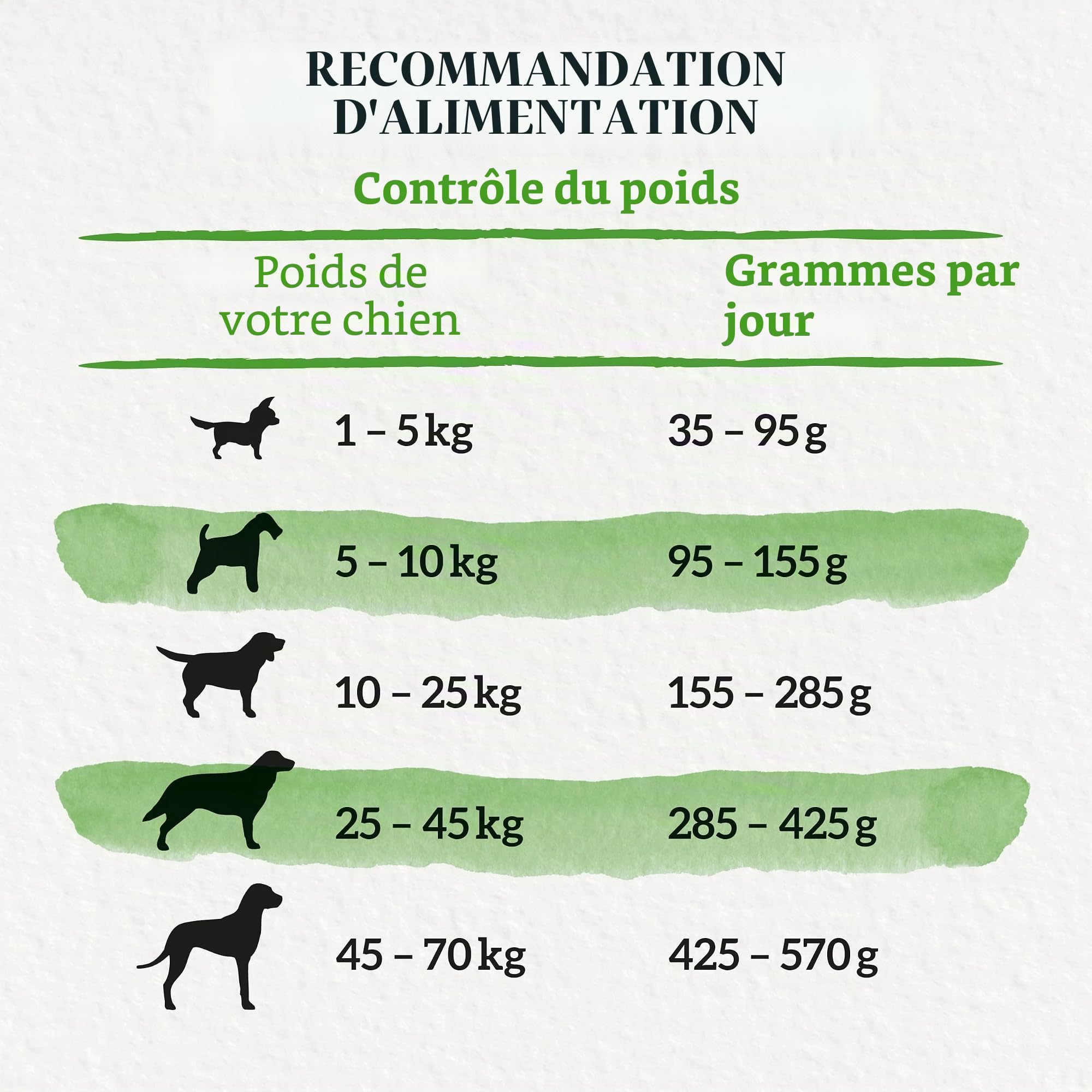 Beneful Nourriture sèche pour Chien - avec Poulet et légumes du Jardin - 1 Paquet (1 x 12 kg)