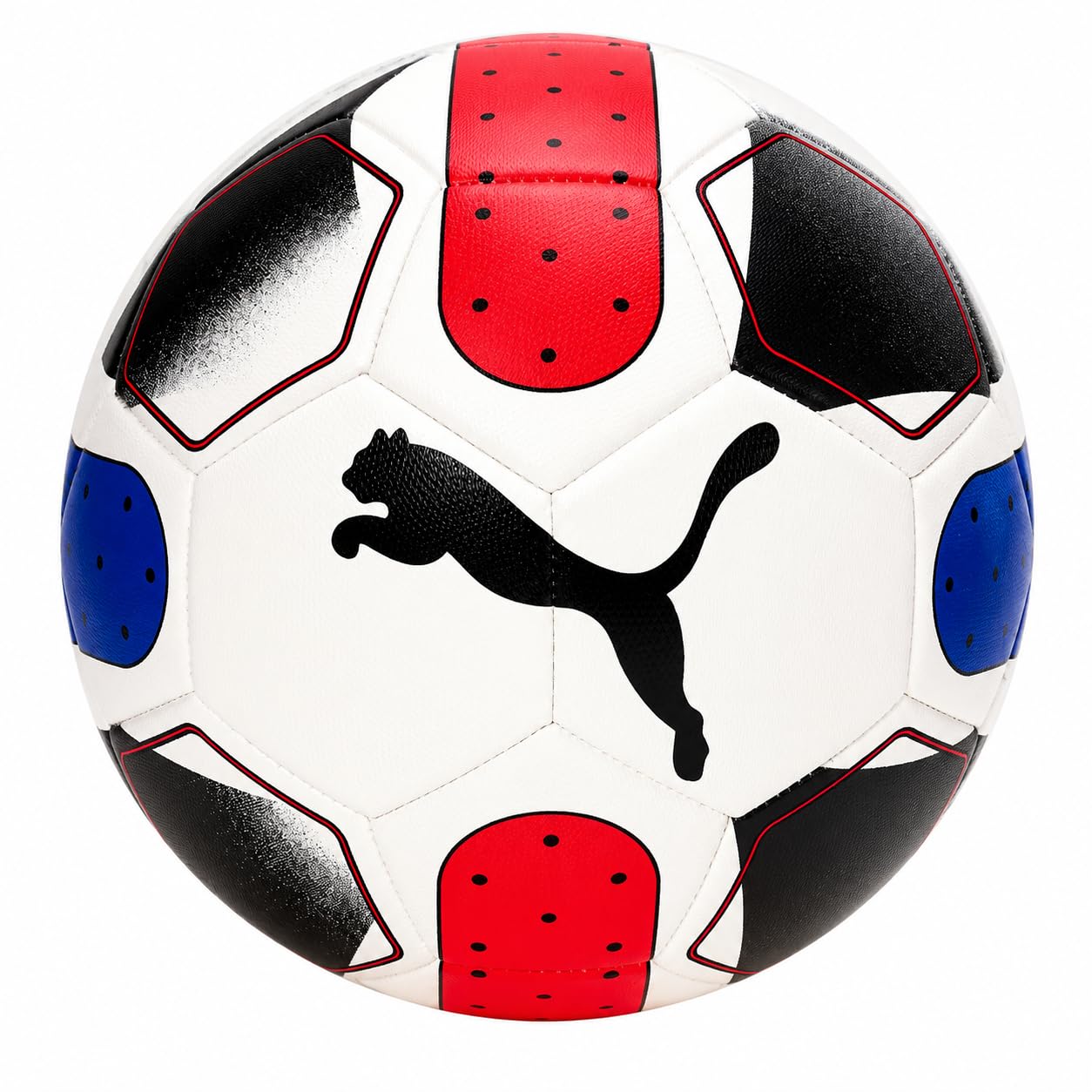Puma Pro Soccer Ball V1 (5)-image-40