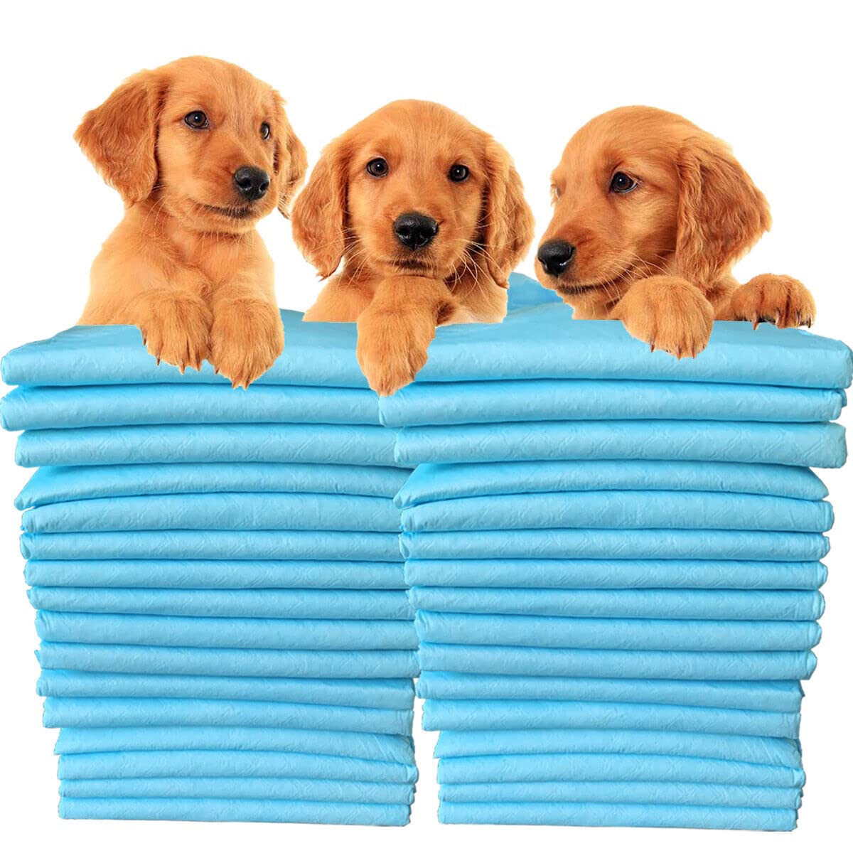 Gadgetking As Picture Puppy Pads 50Pc Absorbent Large Training Pet Toilet Pee Wee Mat 60X40cm Train